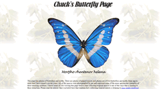 Desktop Screenshot of butterflies.aa6g.org