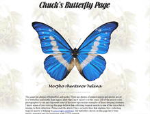 Tablet Screenshot of butterflies.aa6g.org